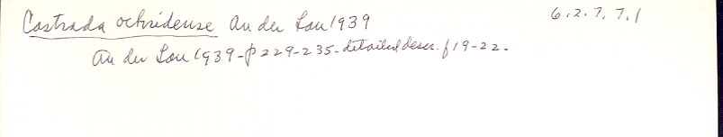 index card