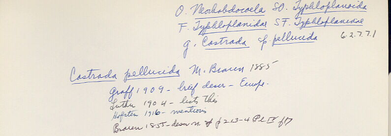 index card