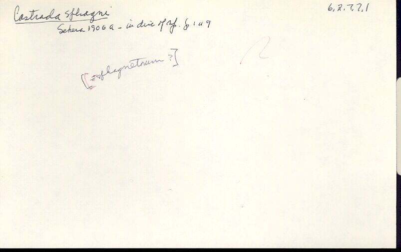 index card