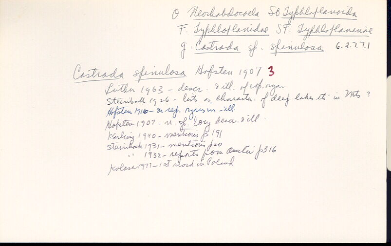 index card