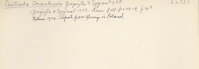 index card