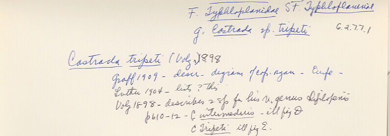 index card