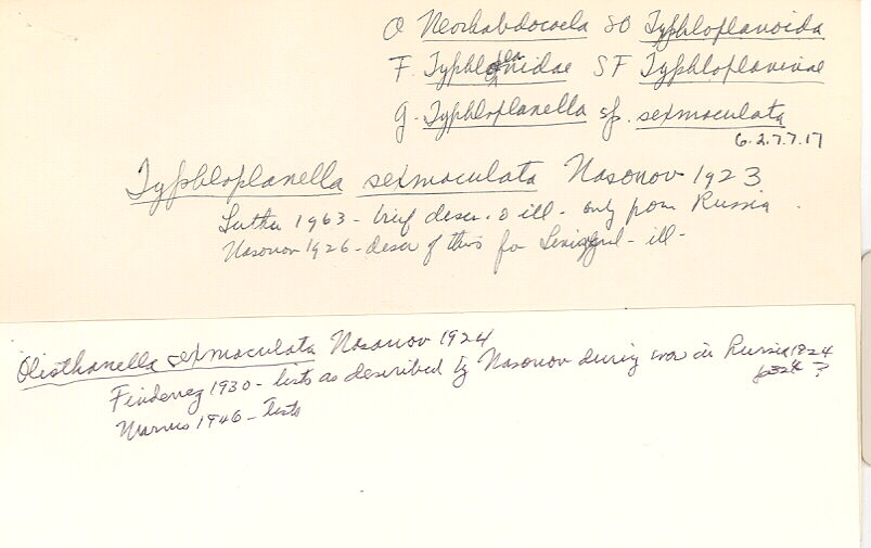 index card