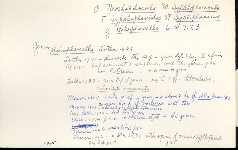 index card