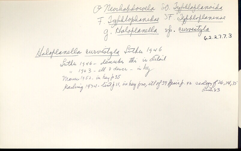 index card