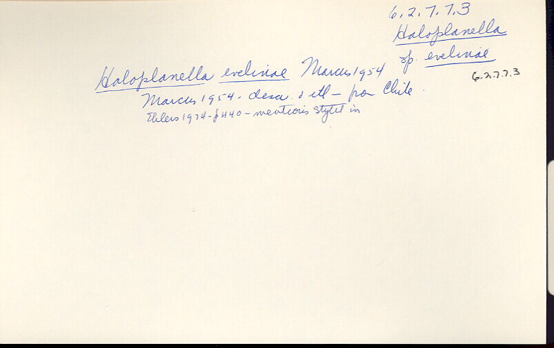 index card