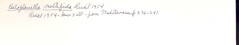 index card
