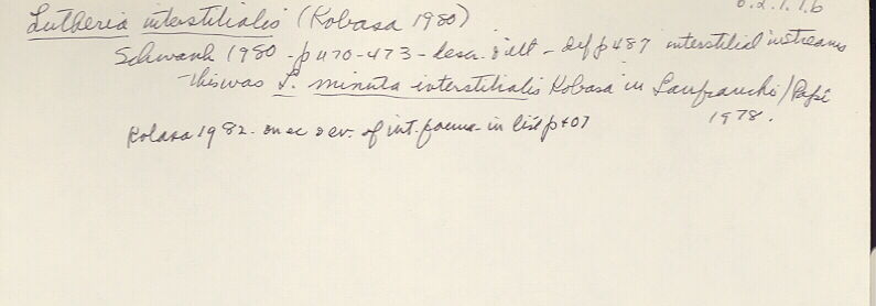 index card