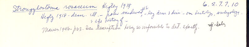 index card