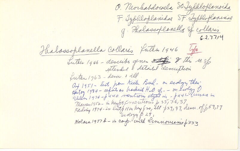 index card