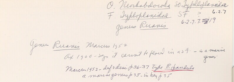 index card
