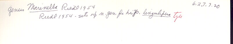 index card
