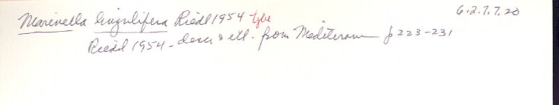 index card