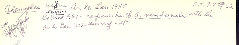 index card