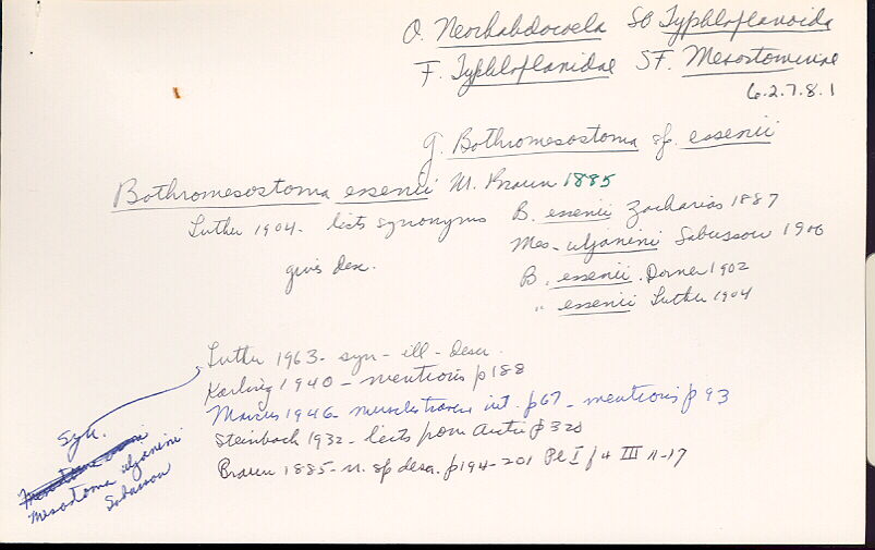 index card