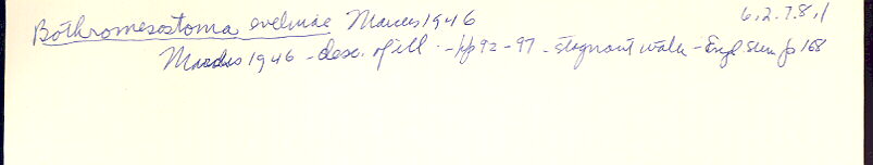 index card