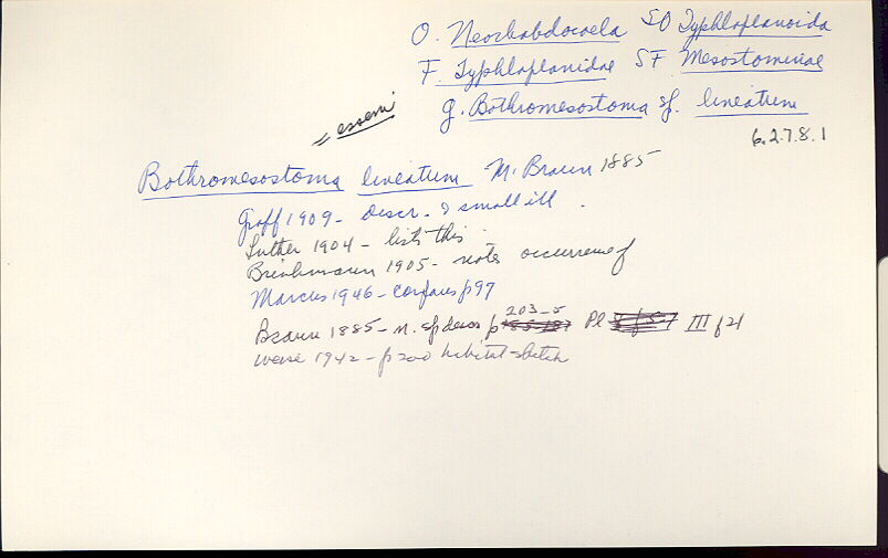 index card