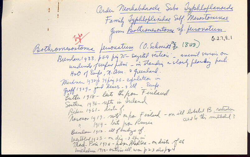 index card