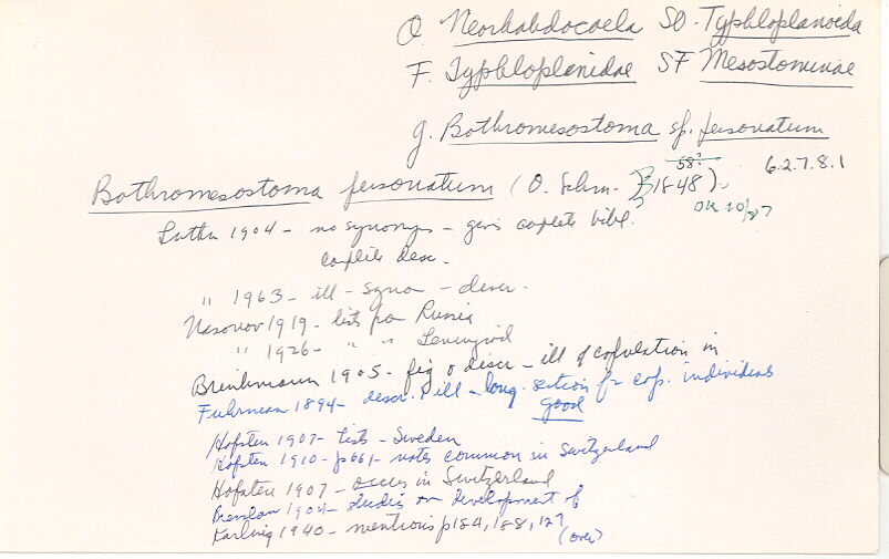 index card