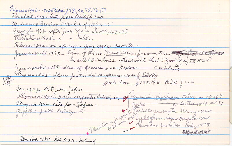 index card