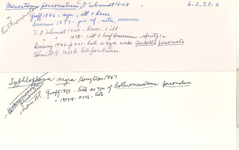 index card