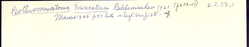index card
