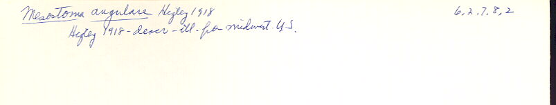 index card