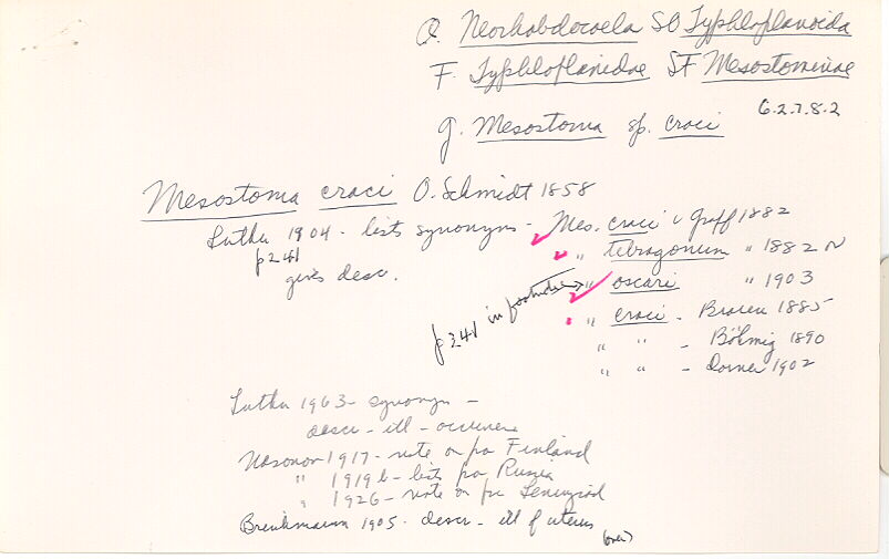 index card