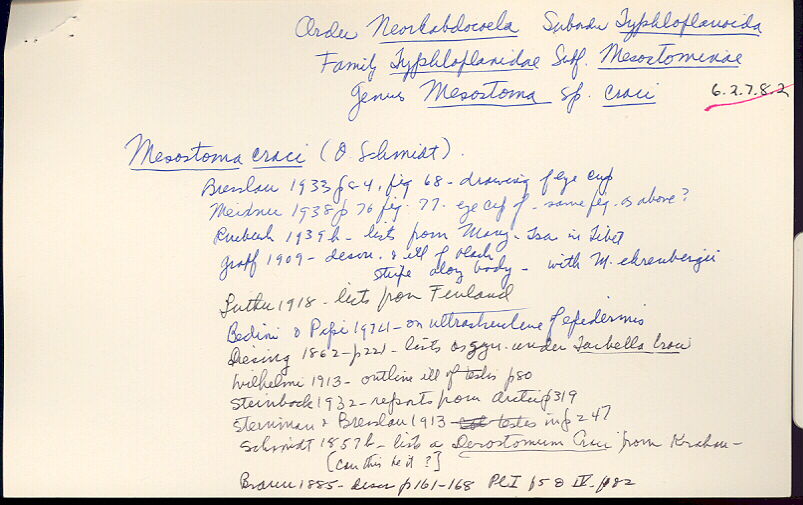index card