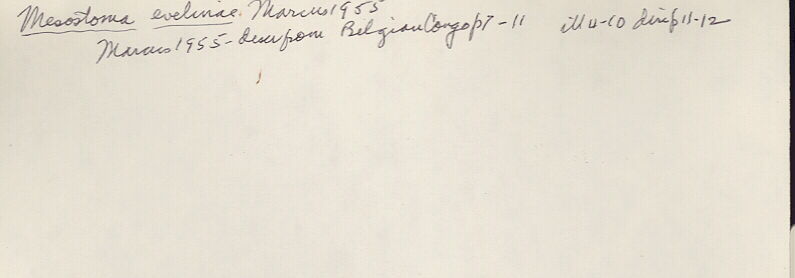 index card