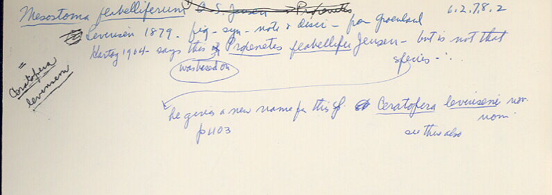 index card