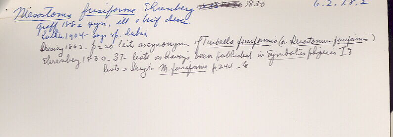 index card