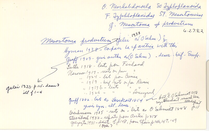 index card