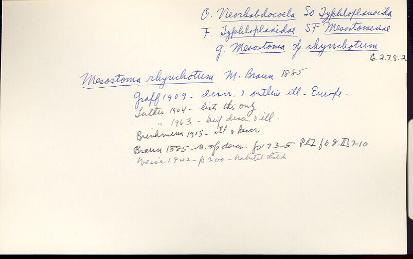 index card