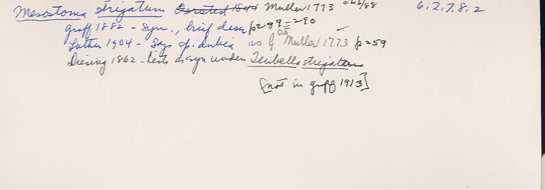 index card