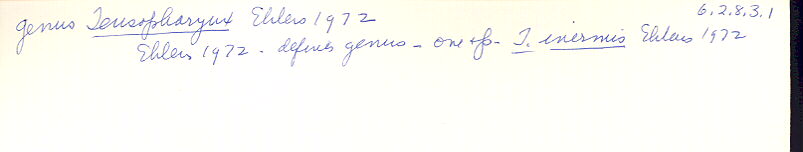 index card