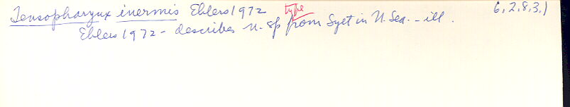 index card