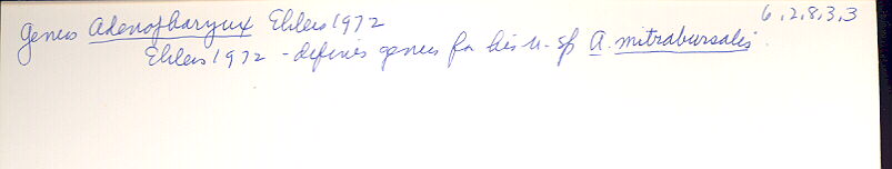 index card