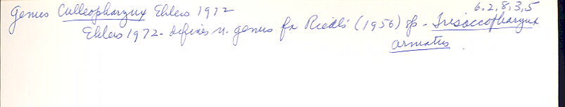 index card