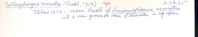 index card