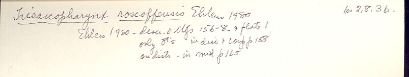 index card