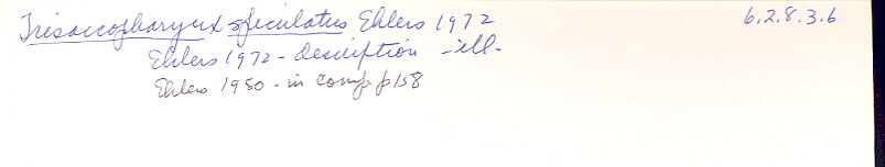 index card
