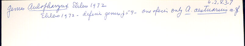 index card
