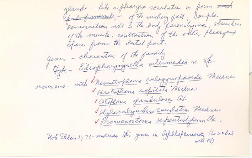 index card