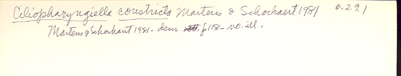 index card