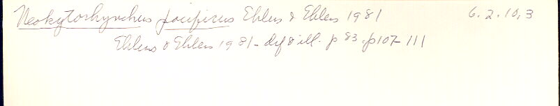 index card
