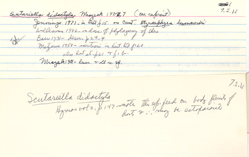 index card