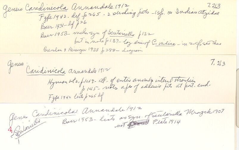 index card