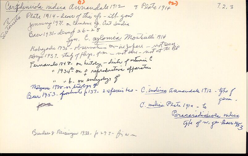 index card