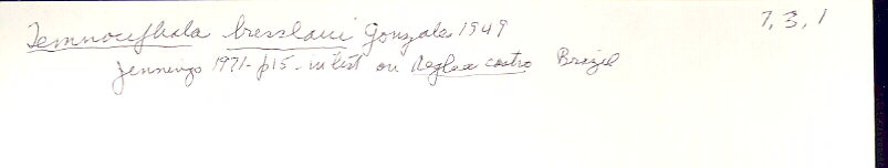index card